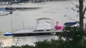 Een jachthaven met aanmerende boten, een roze opblaasbaar luchtbed en een boom op de voorgrond.