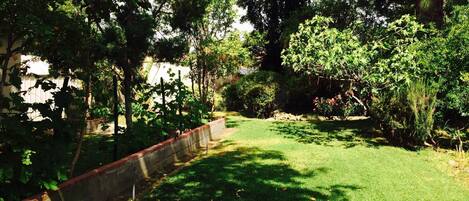 House, Multiple Beds (Greenview) | Property grounds