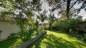 Un jardín bien cuidado con diversos árboles y arbustos, un césped impecable y una jardinera de hormigón.
