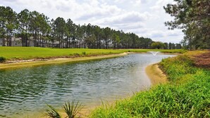 Une rivière bordée d’une rive herbeuse, avec des arbres en arrière-plan.