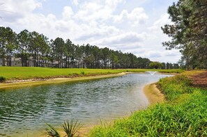 A river with a grassy bank and trees in the background.
