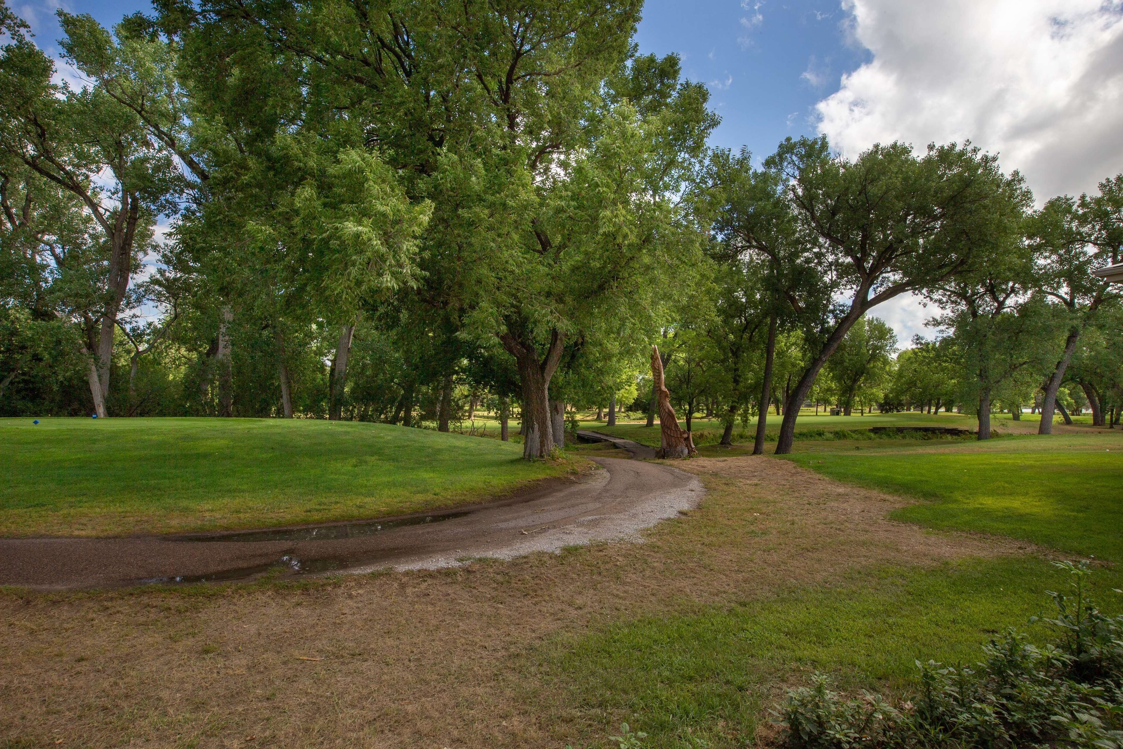 Un parque con un camino de tierra sinuoso, rodeado de árboles y césped verdes y frondosos.