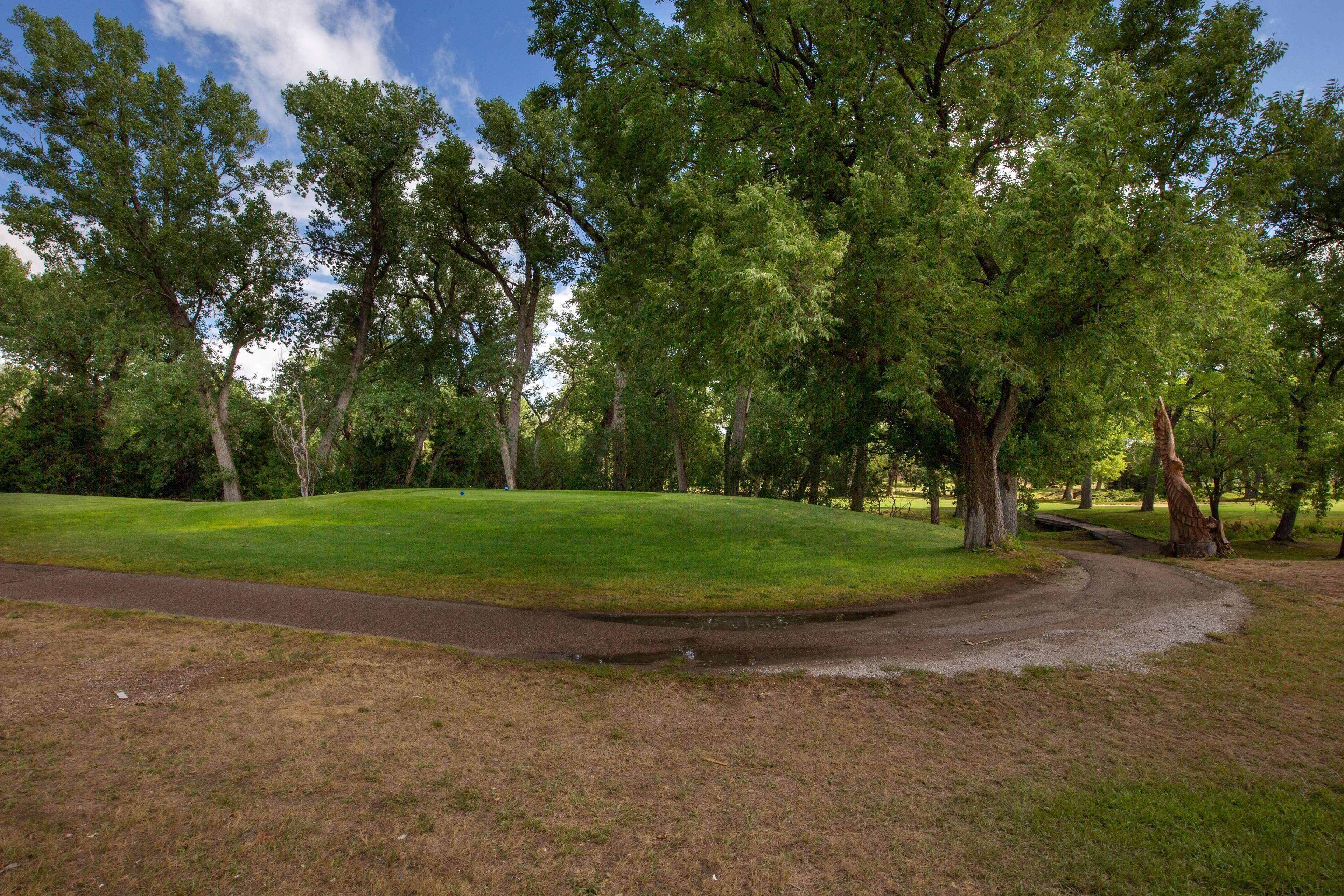 A park with a winding path, grassy areas, and tall trees.