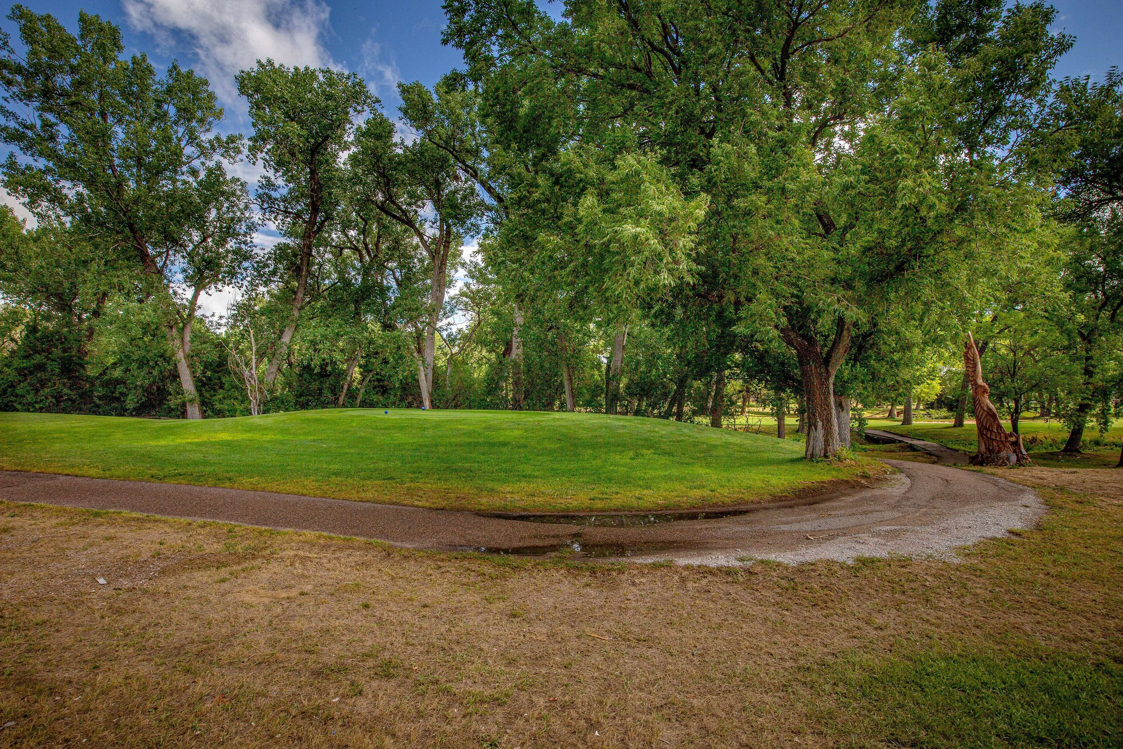 A park with a grassy area, trees, and a winding path.