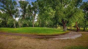 A park with a grassy area, trees, and a winding path.