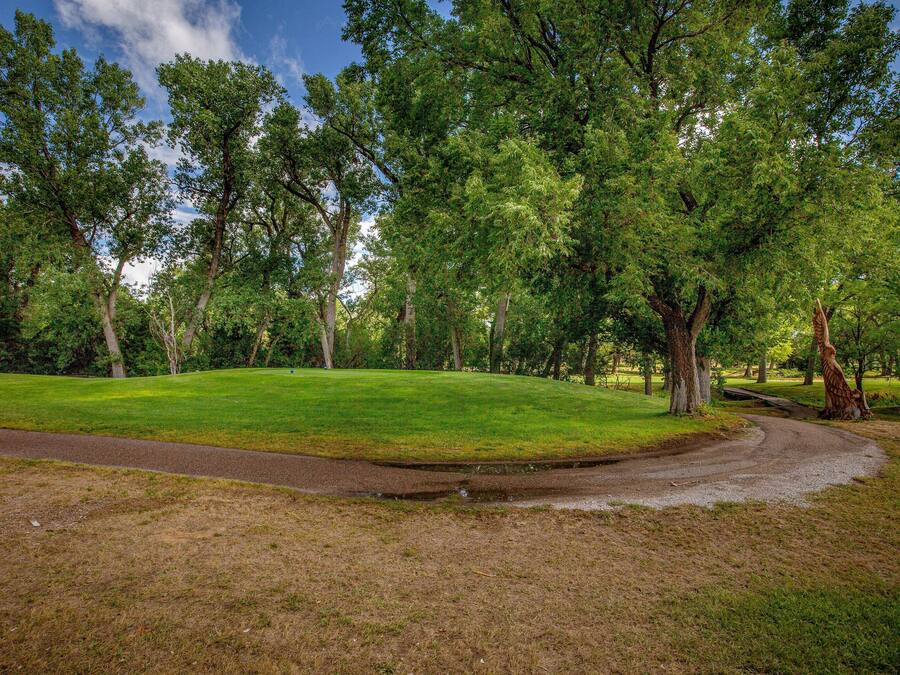 A park with a grassy area, trees, and a winding path.
