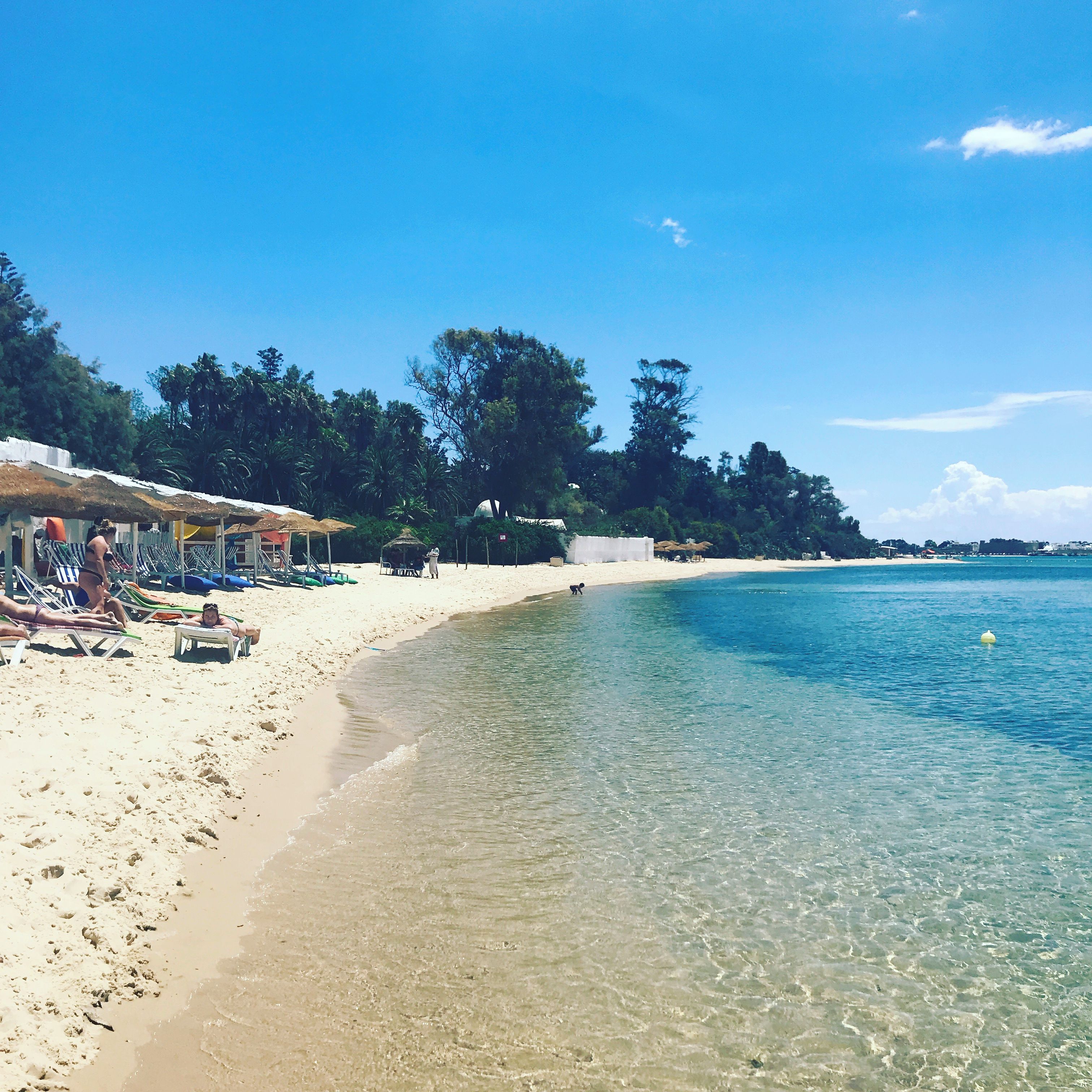 A beach with clear water, umbrellas, and beach chairs.