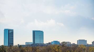 A city skyline with modern high-rise buildings and a foreground of trees.
