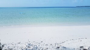 Sun-loungers, beach towels - 100ft from the most beautiful beach and crystal clear water, with free golf cart (Eleuthera)