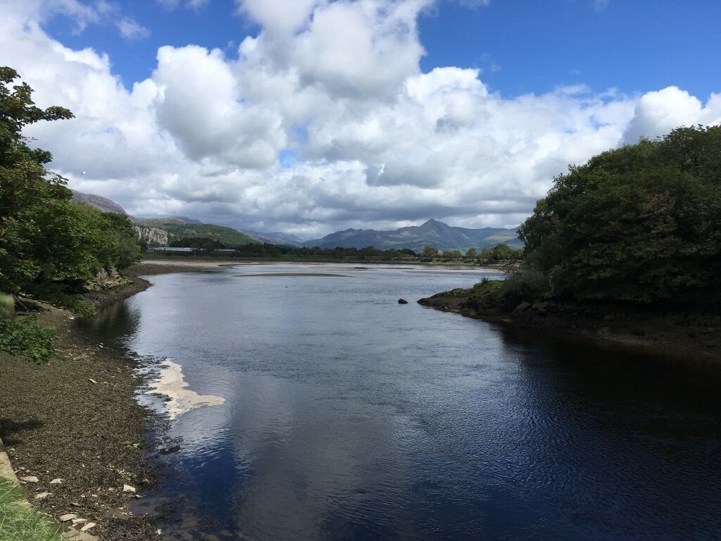 Een rivier met een rotsachtige oever en bomen aan één kant, een heldere lucht en bergen in de verte.