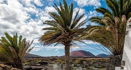 An Oasis in the middle of the Volcano!