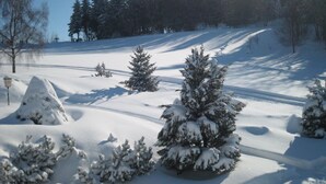 Paisagem nevada com céu claro, árvore coberta de neve e um monte de neve.