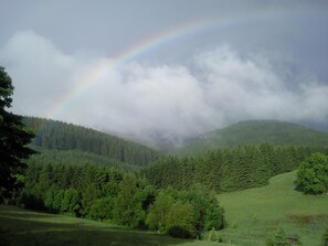 Hiking - Ferienwohnung Lenneplätze (Winterberg)