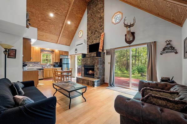 Smart TV, fireplace, DVD player, books