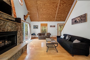 Smart TV, chimenea, reproductor de DVD y libros
