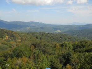 公寓式客房, 多张床 (10-203) | 其他