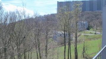 Condo, Multiple Beds (Sugar Ski & Country Club Unit 231 Sil) | Balcony