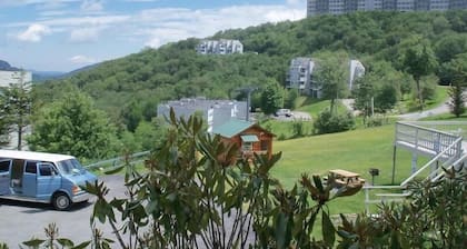 Sugar Ski & Country Club Unit 313 Silver