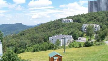 Condo, Multiple Beds (Sugar Ski & Country Club Unit 334 Sil) | View from property