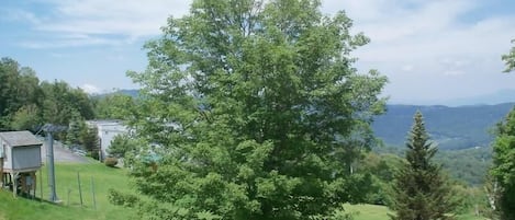 Condo, nhiều giường (631) | Ban công