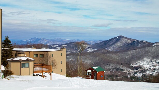 Un hôtel doté d’une terrasse enneigée et offrant une vue sur les montagnes.