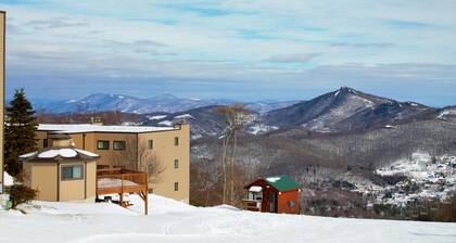 Sugar Ski & Country Club Unit 414 Silver