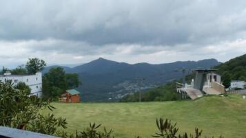 Condo, Multiple Beds (Sugar Ski & Country Club Unit 414 Sil) | Property grounds