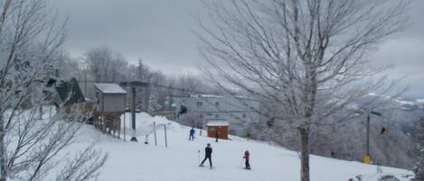 Appart'hôtel, plusieurs lits (Sugar Ski & Country Club Unit 621 Sil) | Extérieur