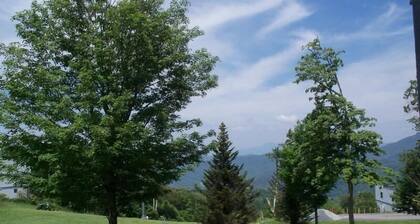 Sugar Ski & Country Club Unit 621 Silver