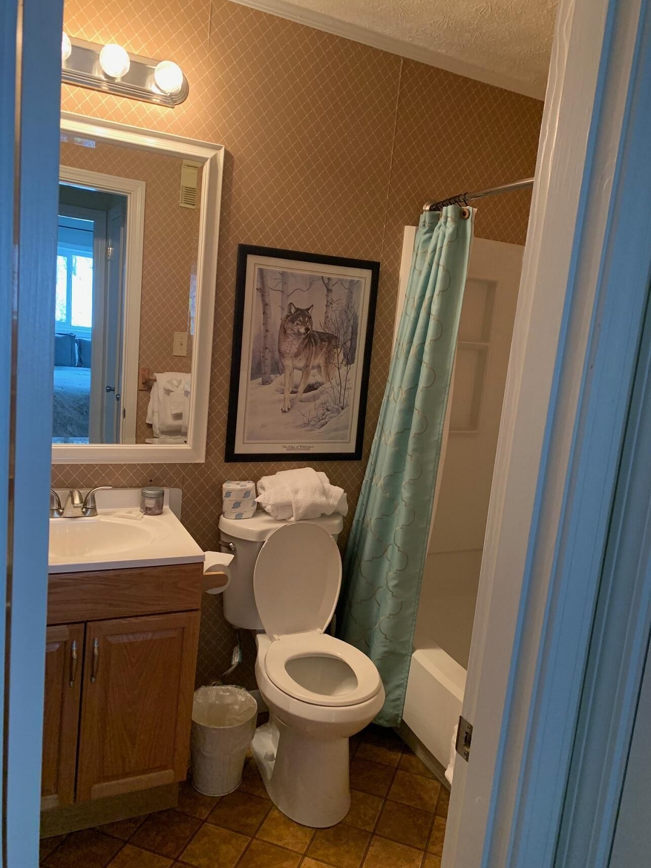 A bathroom with a sink, toilet, and framed picture of a wolf.
