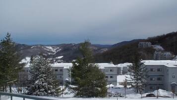 Kondominium, Beberapa Tempat Tidur (122) | Balkon