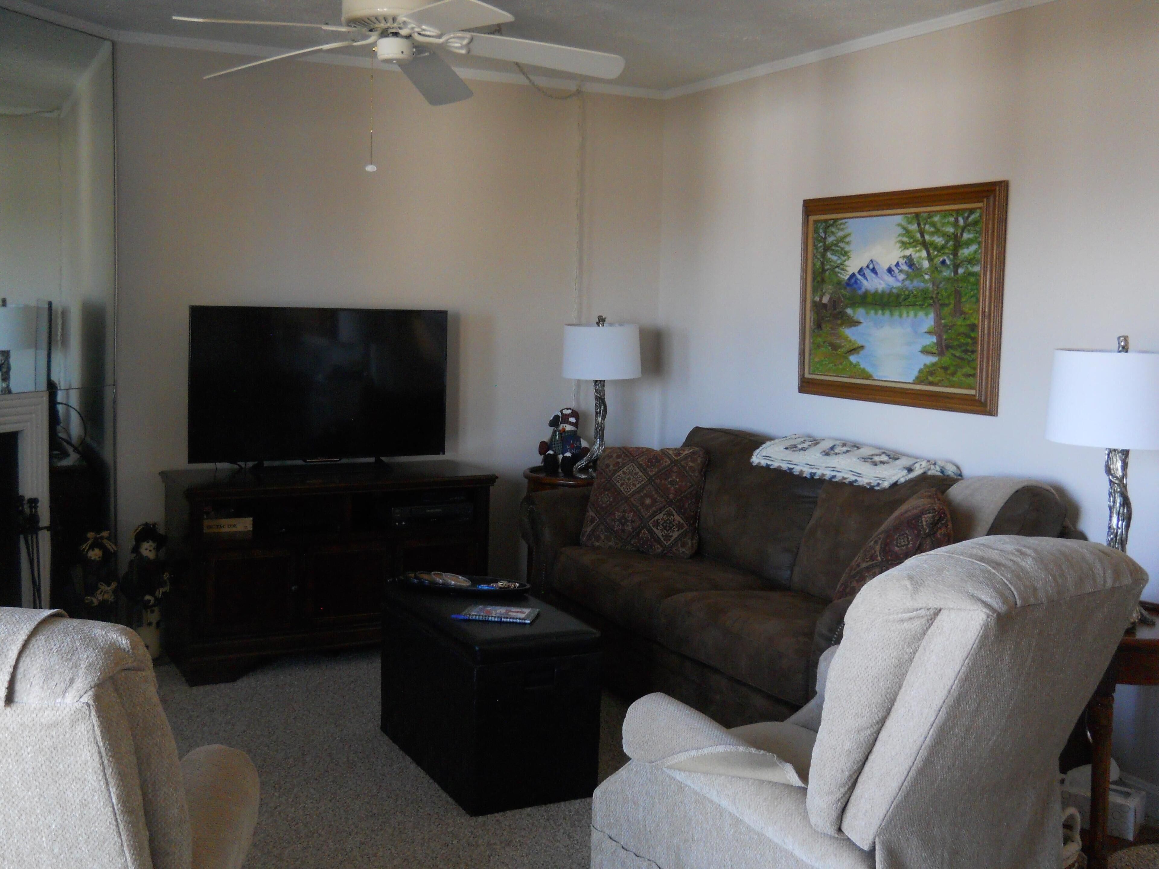 A living room with a television, a ceiling fan, a couch, a coffee table, and two lamps.