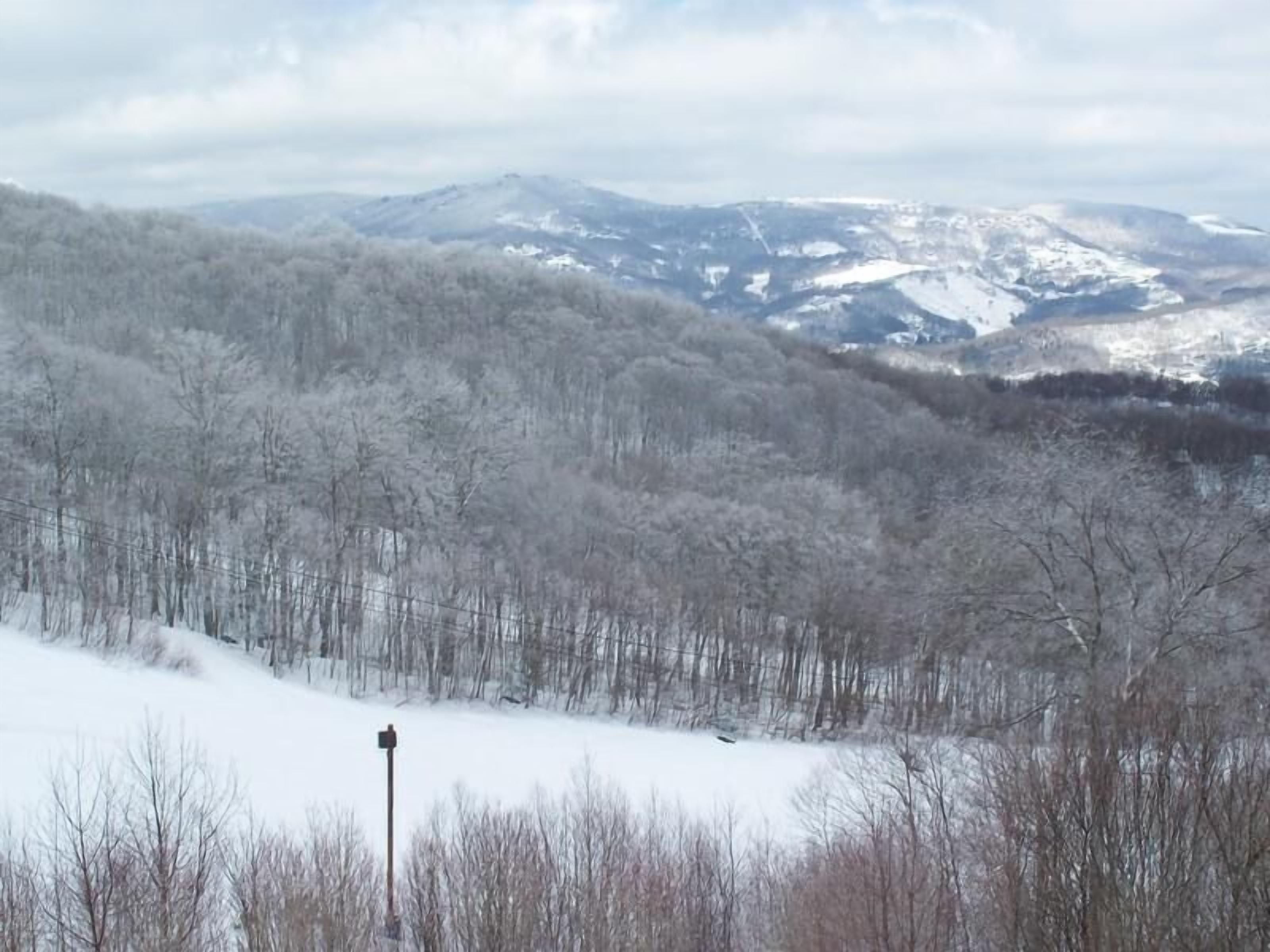A snowy landscape with a forested hill and a road.
