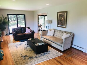 TV, fireplace, video games, DVD player