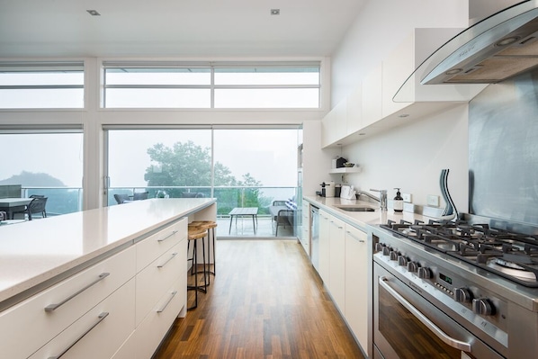 Fridge, oven, stovetop, dishwasher