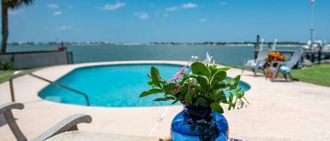 House (Porpoise Point) | Pool