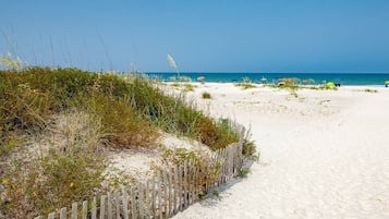 House (Windswept Beach House) | Beach
