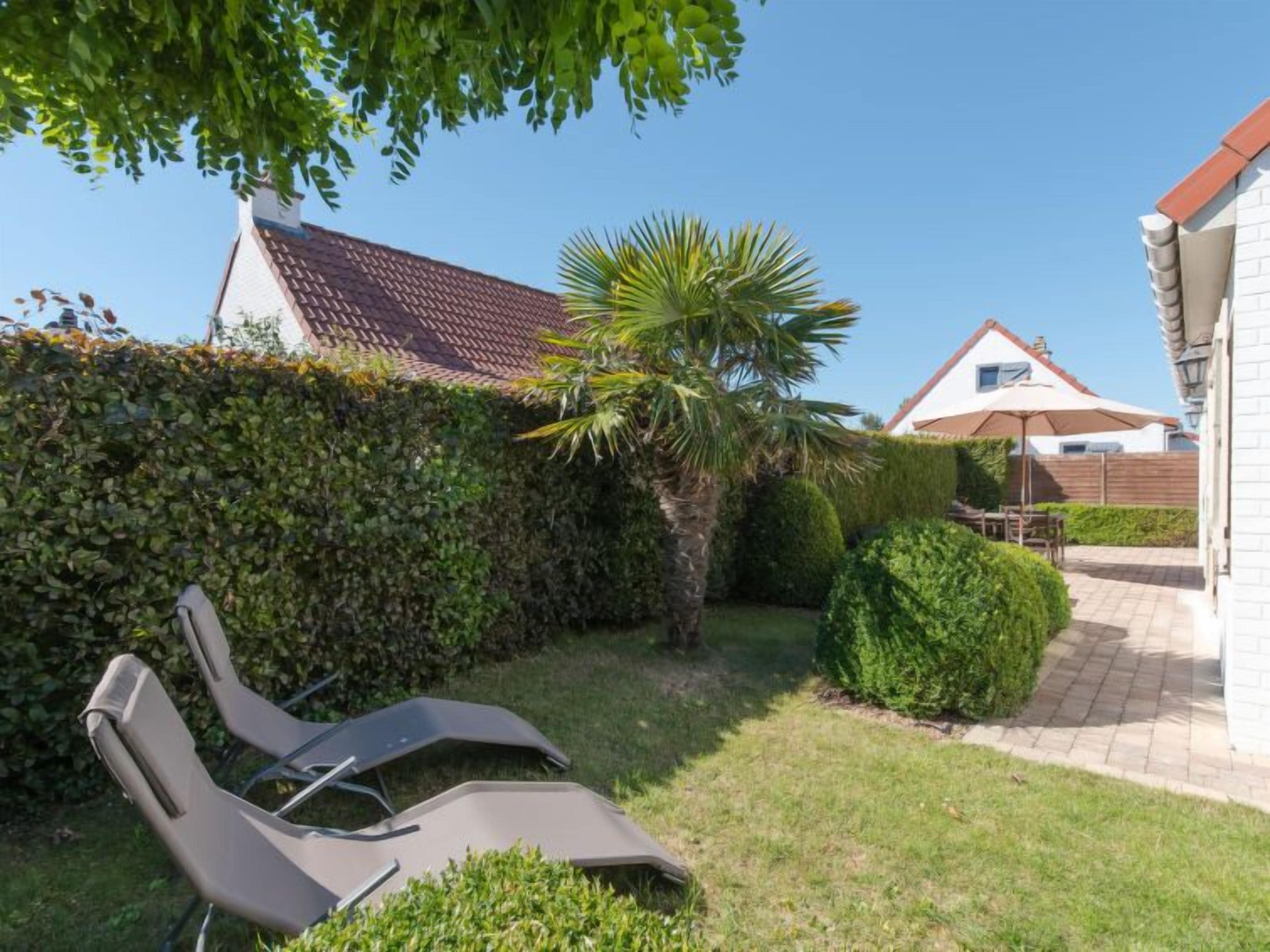 Een tuin met een gazon, een palmboom en een haag. Er staan twee ligstoelen en een tafel met parasol.