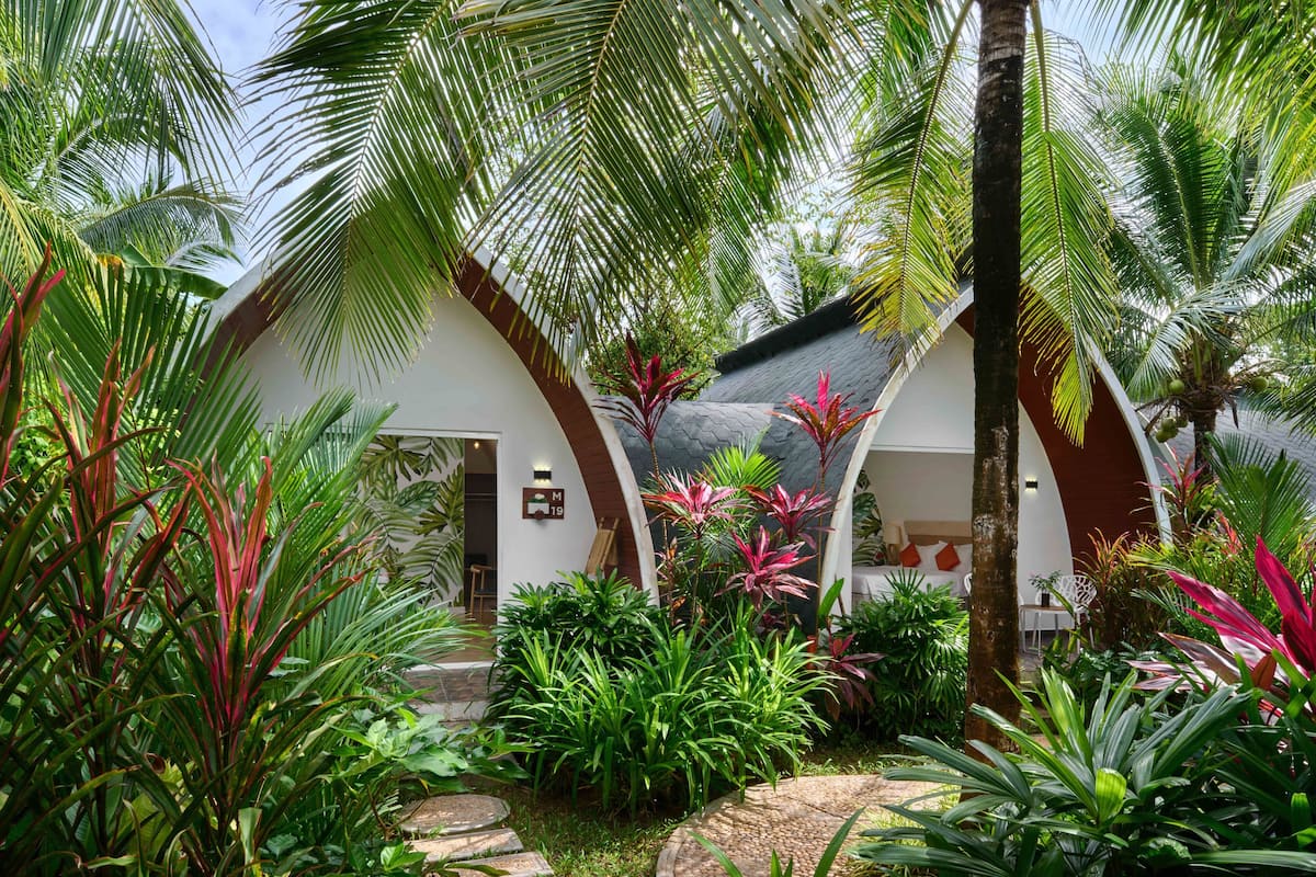 Un edificio moderno con arquitectura curvilínea, rodeado de exuberante vegetación tropical.