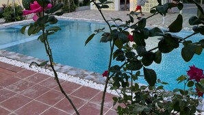 A swimming pool with a tiled border, surrounded by a garden with rose bushes and a building in the background. - Arina Boutique Kampot (Kampot)