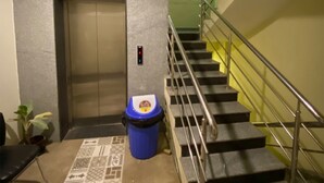 A staircase with metal railings, a blue trash bin, and a patterned rug. - Hotel Shyam Inn (Bengaluru)