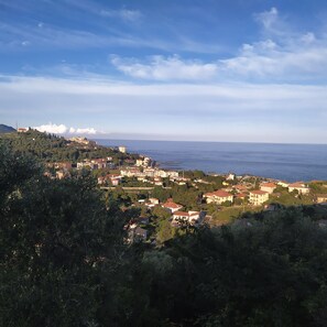 Immagine non classificata, 2 di 7, pulsante