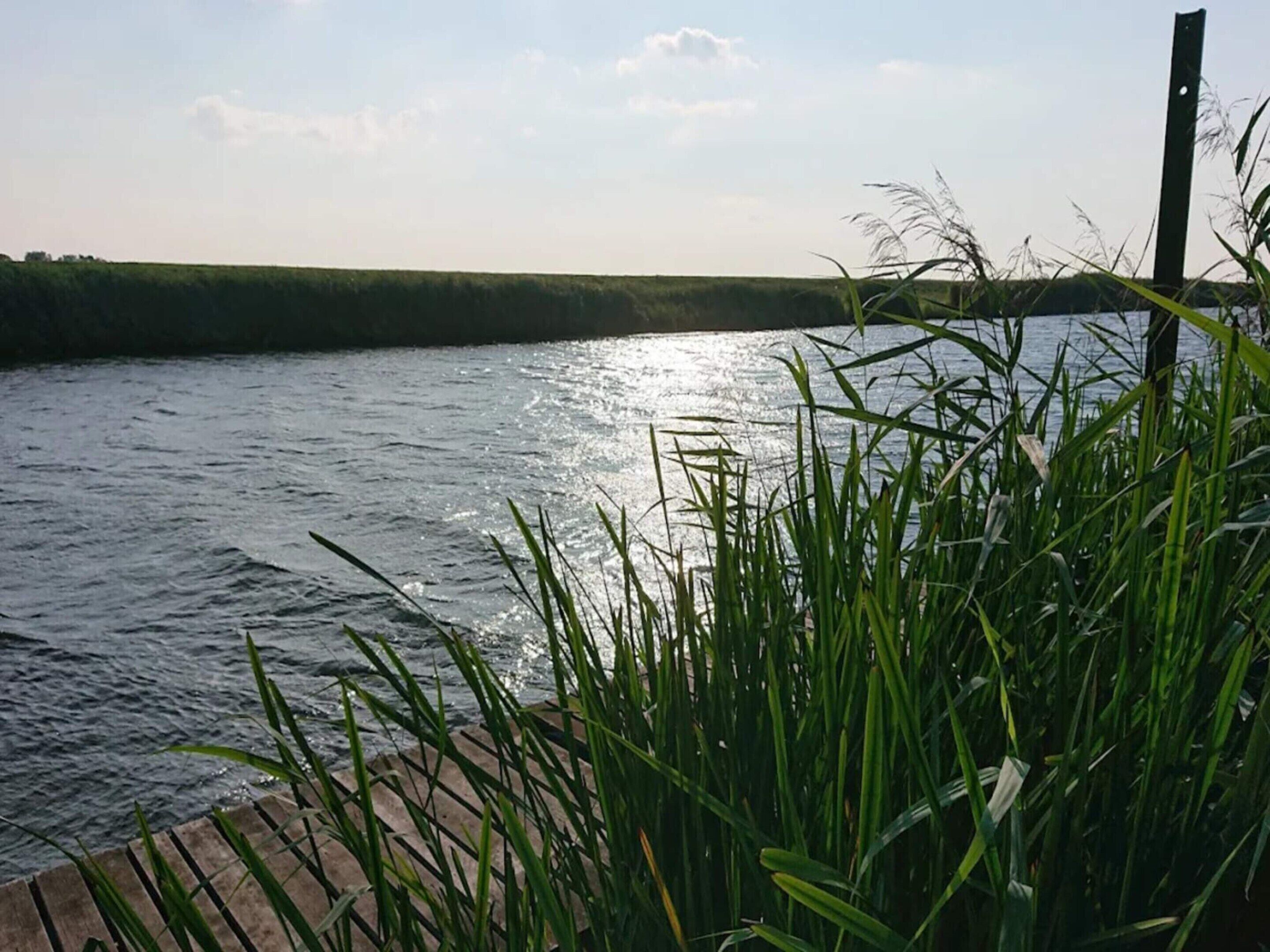 Ein Fluss mit einem hölzernen Steg und hohem Gras im Vordergrund.
