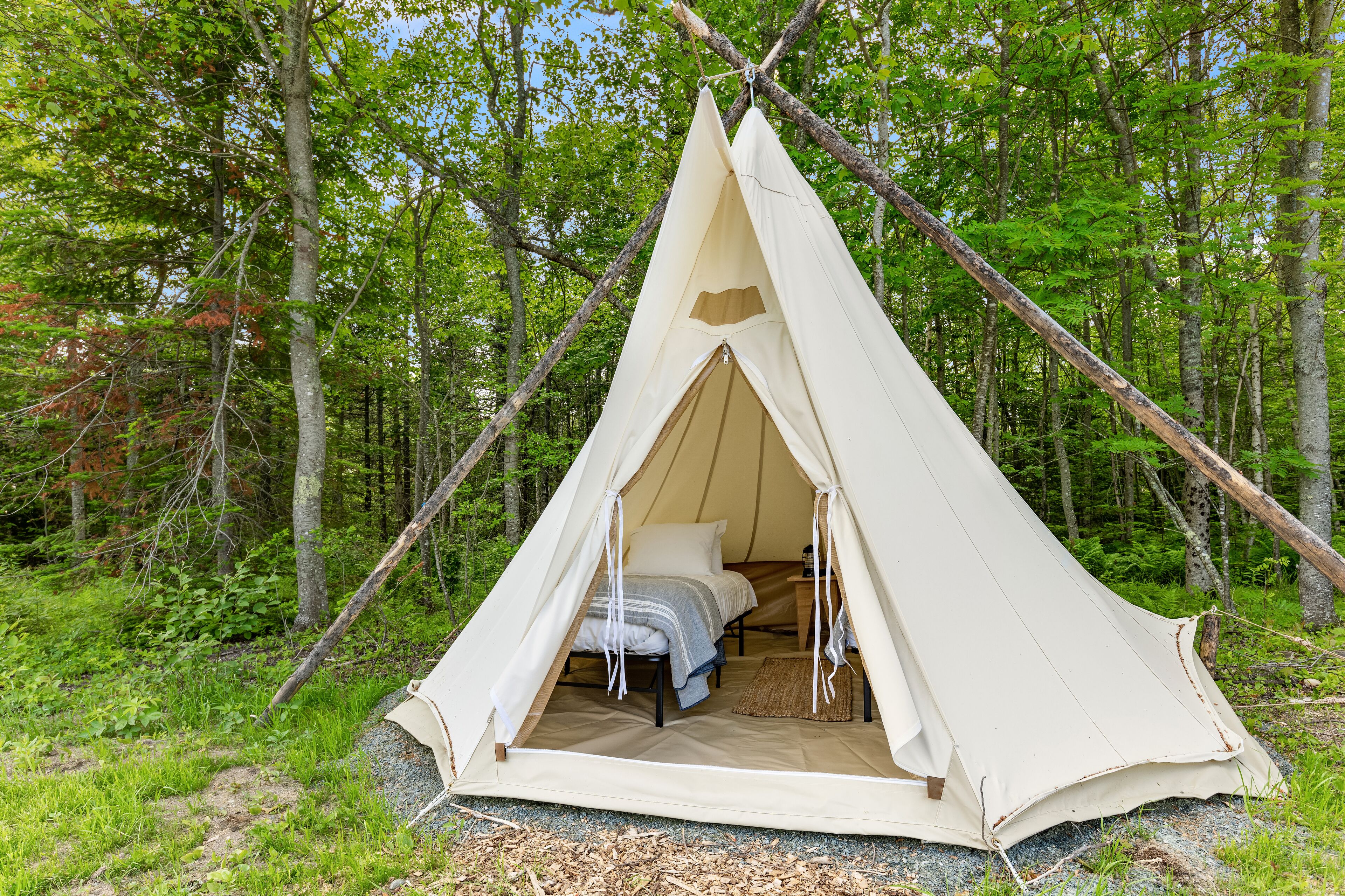 Una tenda con un letto all'interno, circondata da alberi.