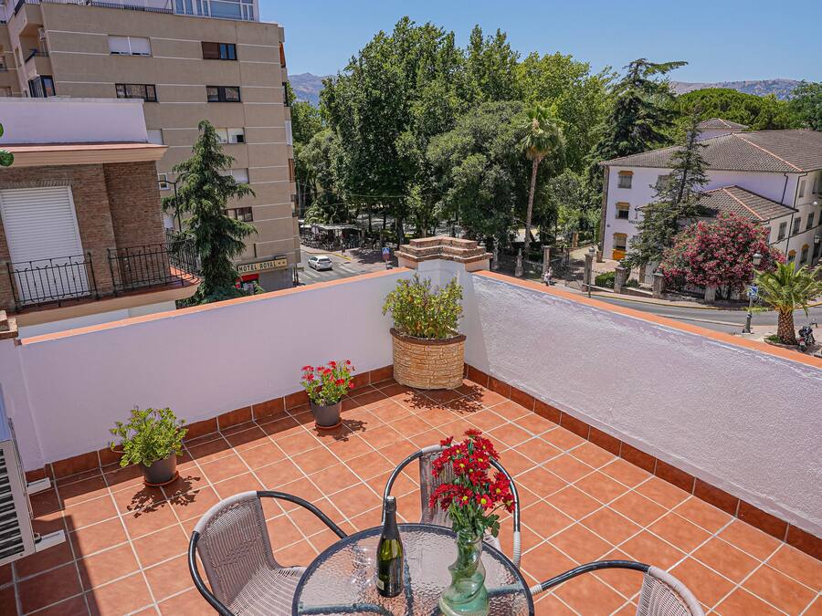 Eine Terrasse mit zwei Korbstühlen, einem Tisch, Blumentöpfen und Blick auf umliegende Gebäude und Bäume.