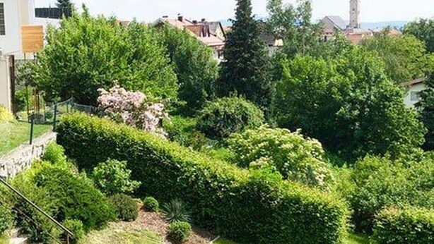 Un jardín bien cuidado con un pequeño estanque, setos recortados y la aguja de una iglesia a lo lejos.