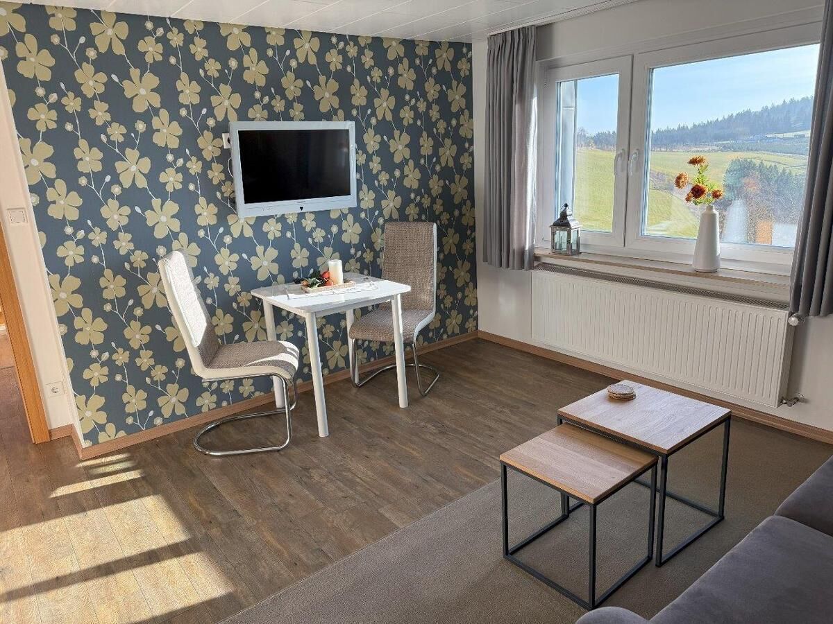 A room with a TV, a dining table, two chairs, a sofa, a window with a view, and a radiator.