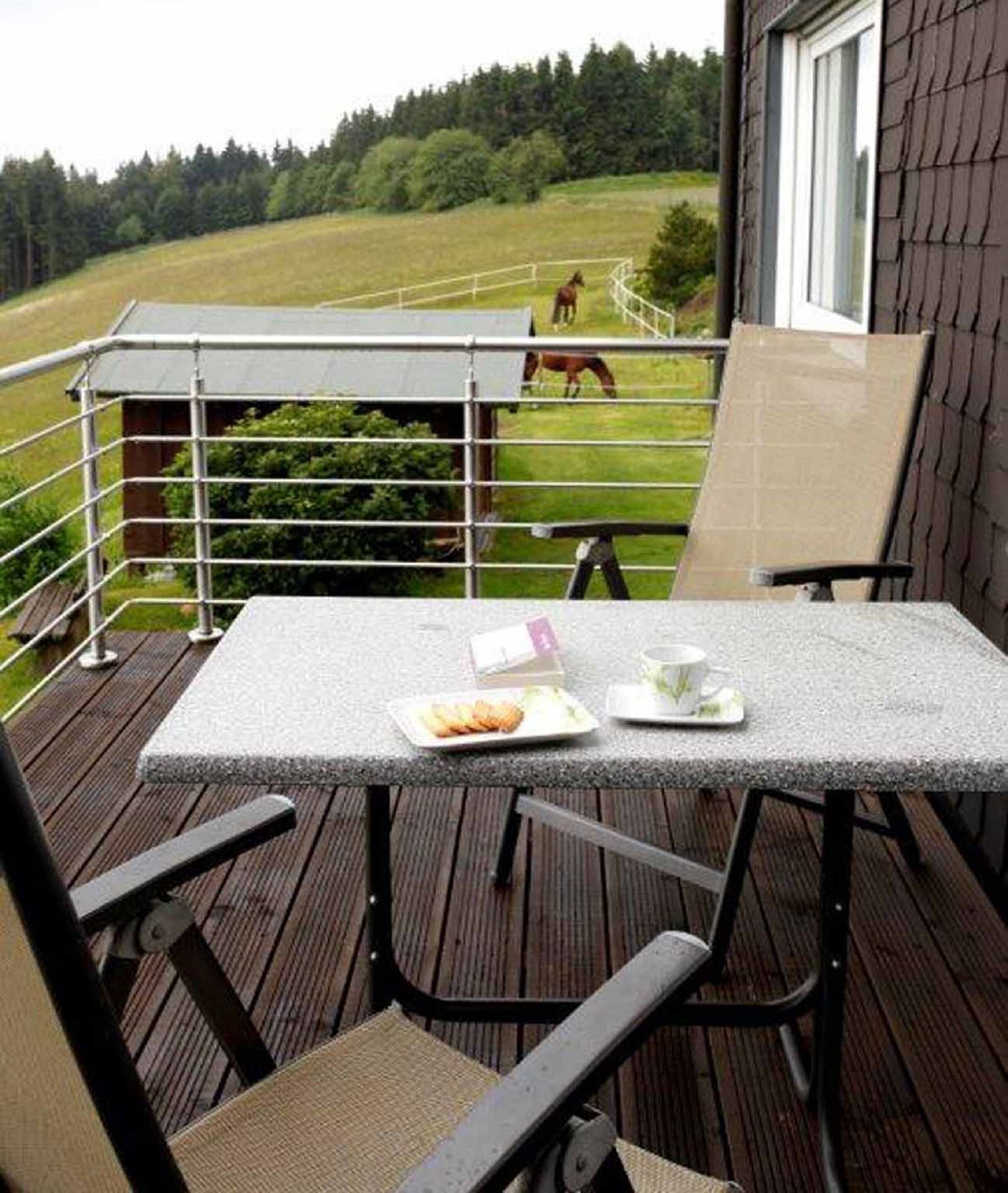 A balcony with a table, chairs, and a view of a horse grazing in a field.