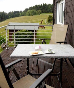 Basic Apartment | Balcony - Pension Haus Astenblick (Winterberg)