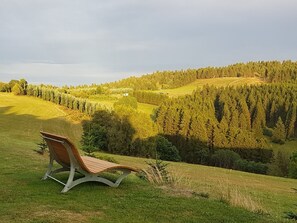 A bench in a grassy field with a forested hill in the background. - Pension Haus Astenblick (Winterberg)